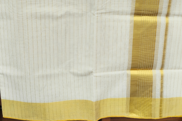 Golden border and striped saree