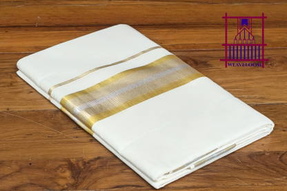 Golden + Silver border saree