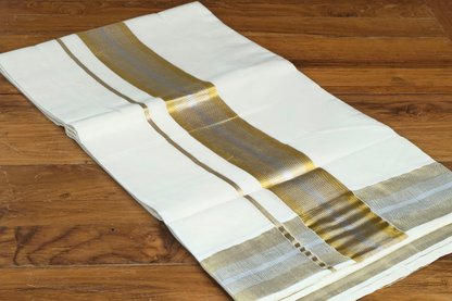 Golden + Silver border saree