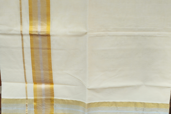 Golden + Silver border saree